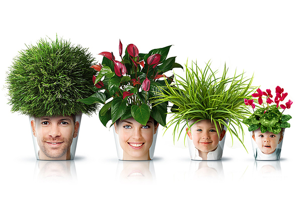 face花盆，愛捻花惹草就讓你腦袋開花