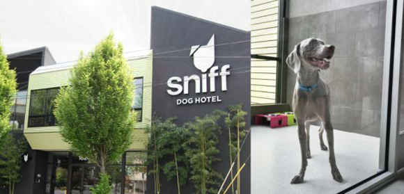 這年頭，當畜生真的比當人爽快！(無誤)