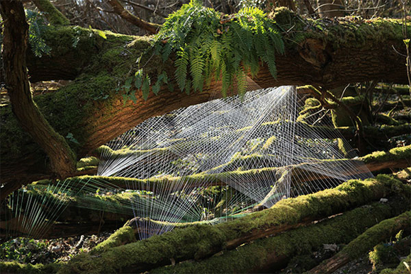 銳利無法擋的線形藝術