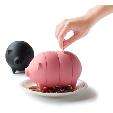 永遠存不夠的開薪小豬