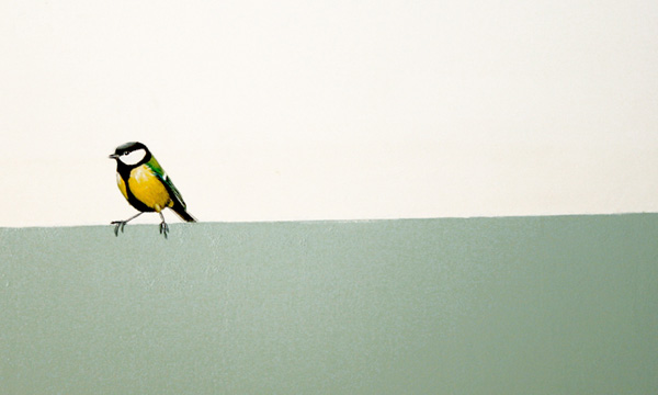 憤怒鳥兒不生氣，飛上牆頭「給隻鳥！」