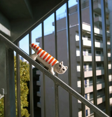 小心，有貓在監視你