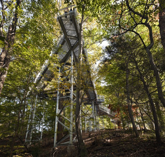 帶領遊客展開一場新冒險的Tree Adventure