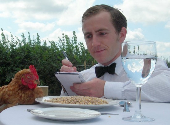 「雞」本人權！專門給雞住的雞旅館