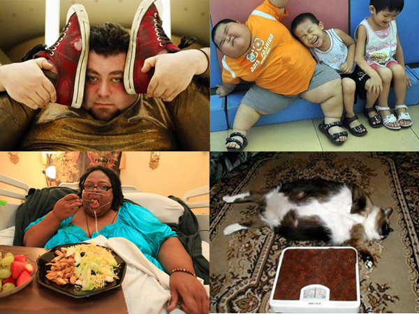 增腦力！10個全世界最胖的人事物