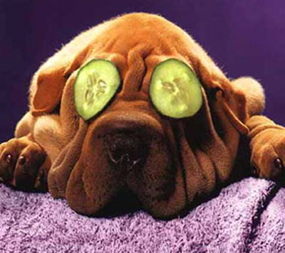 睡美容覺真的越睡越美麗！(無誤)