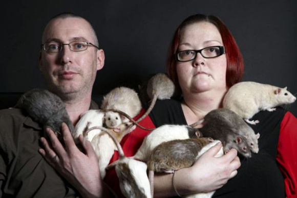 養了27隻老鼠來咬布袋的怪咖情侶