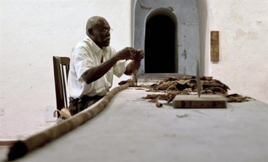 全世界最長的古巴雪茄有多長呢？