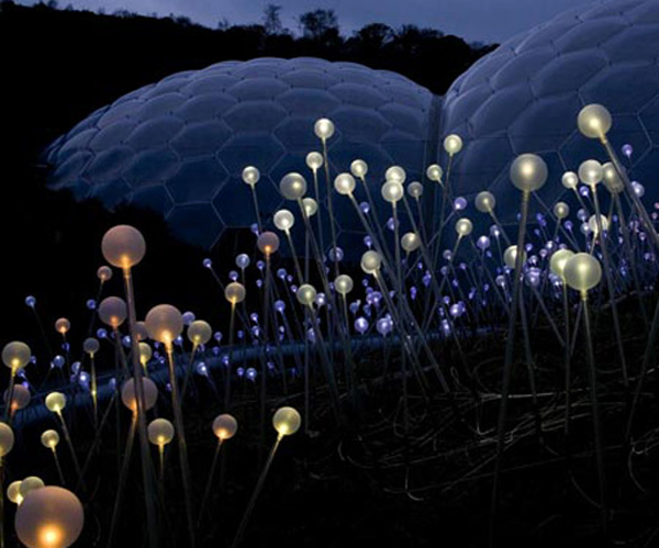 魔幻般的光之原野「Field of Light」