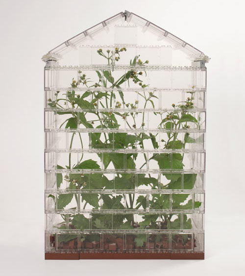 這年頭，溫室裡的花朵很。樂。高