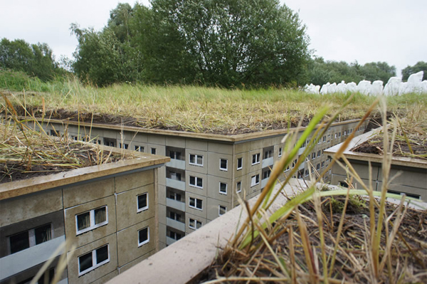 一腳踏進迷你地下之城！