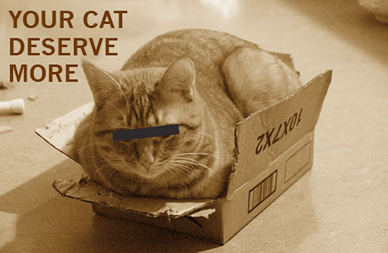 喵嗚～用紙糊的可愛貓咪溫暖窩