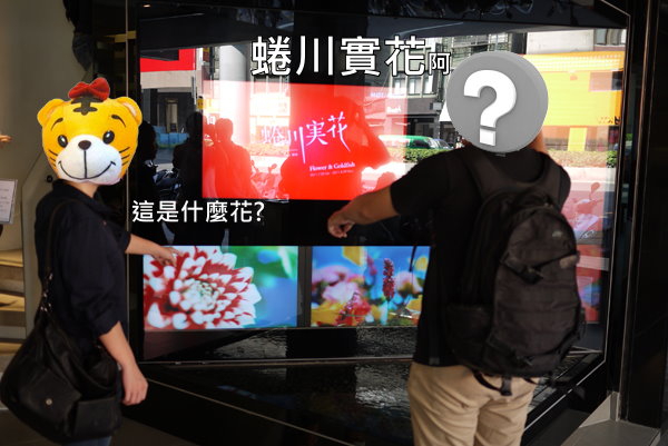 情人節沒處去嗎？來逛一個人也能逛「蜷川實花攝影展」吧！ 