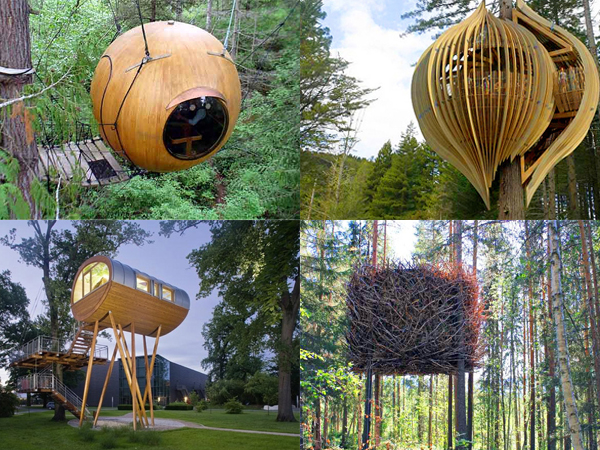 6間遠離都市酷暑、投身自然的空中樹屋
