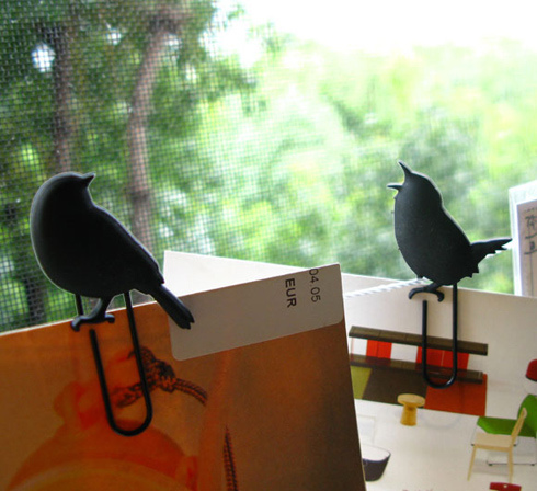 王子與公主，從此要過著…「快樂鳥日子」！