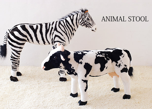 看野生動物不用到非洲！你家客廳就可以