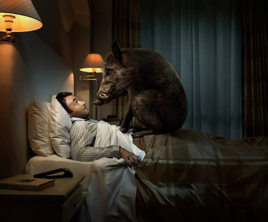 讓你毫無頭緒一頭霧水的最佳廣告