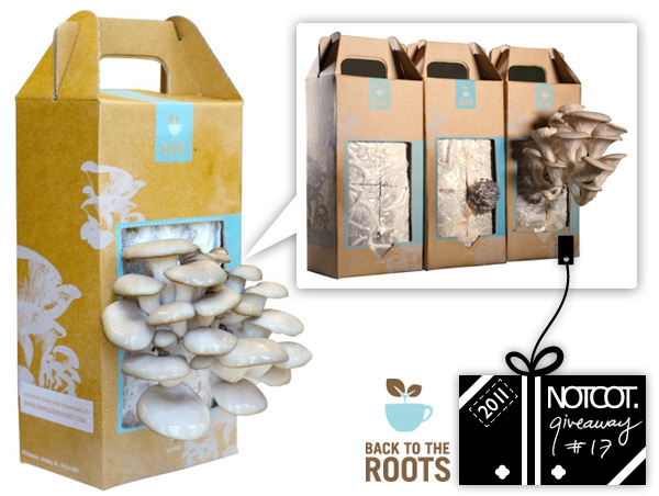 [DIY ok]自己的香菇自己種，蘑菇園便利盒