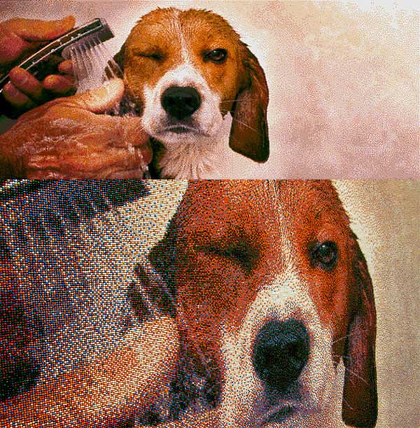 沒有「耐心」還真完成不了的糖球拼貼照