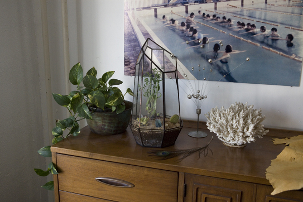 擁有一個迷你溫室，植物就像有個家！ 