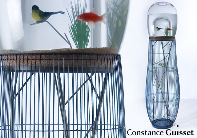 咦！鳥怎麼會在水裡！鳥籠與魚缸的結合