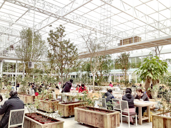 蘭陽新景點！與花草樹木共舞的「香草菲菲」