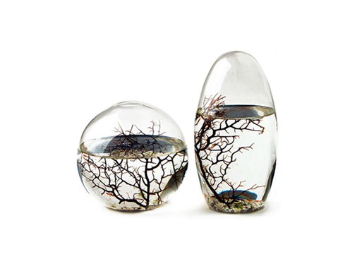 免你操心照料的迷你活動生態圈