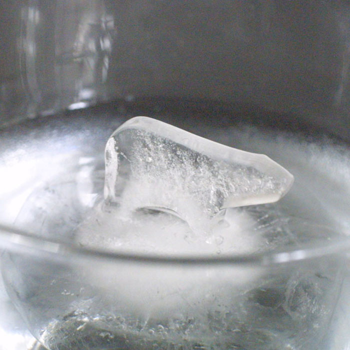 polar-ice-cube-molds-3