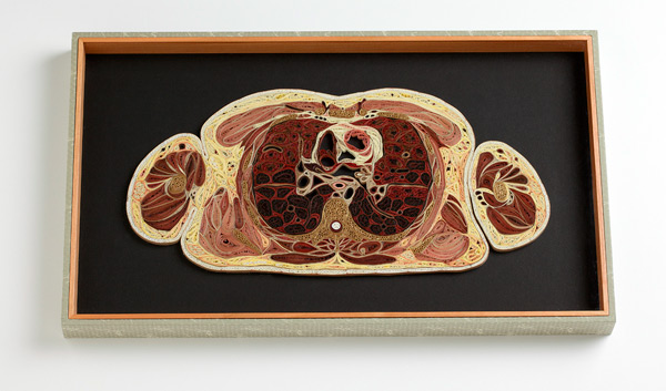 這不是紙做的切片人體模型嗎，做得挺像的嘛！