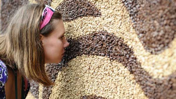 傳來陣陣咖啡香的世界最大咖啡豆壁畫