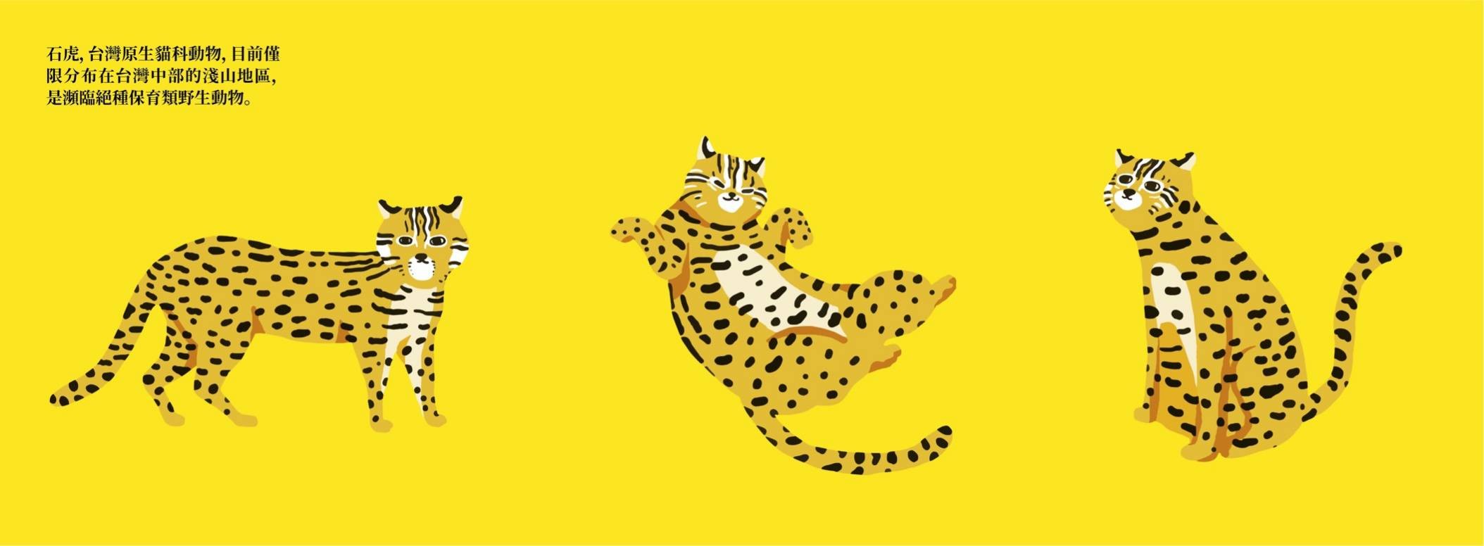 圖庫花豹插畫俄羅斯創作者暖心贈台「正版」石虎插畫！集集彩繪列車石虎設計更新、確定換字體