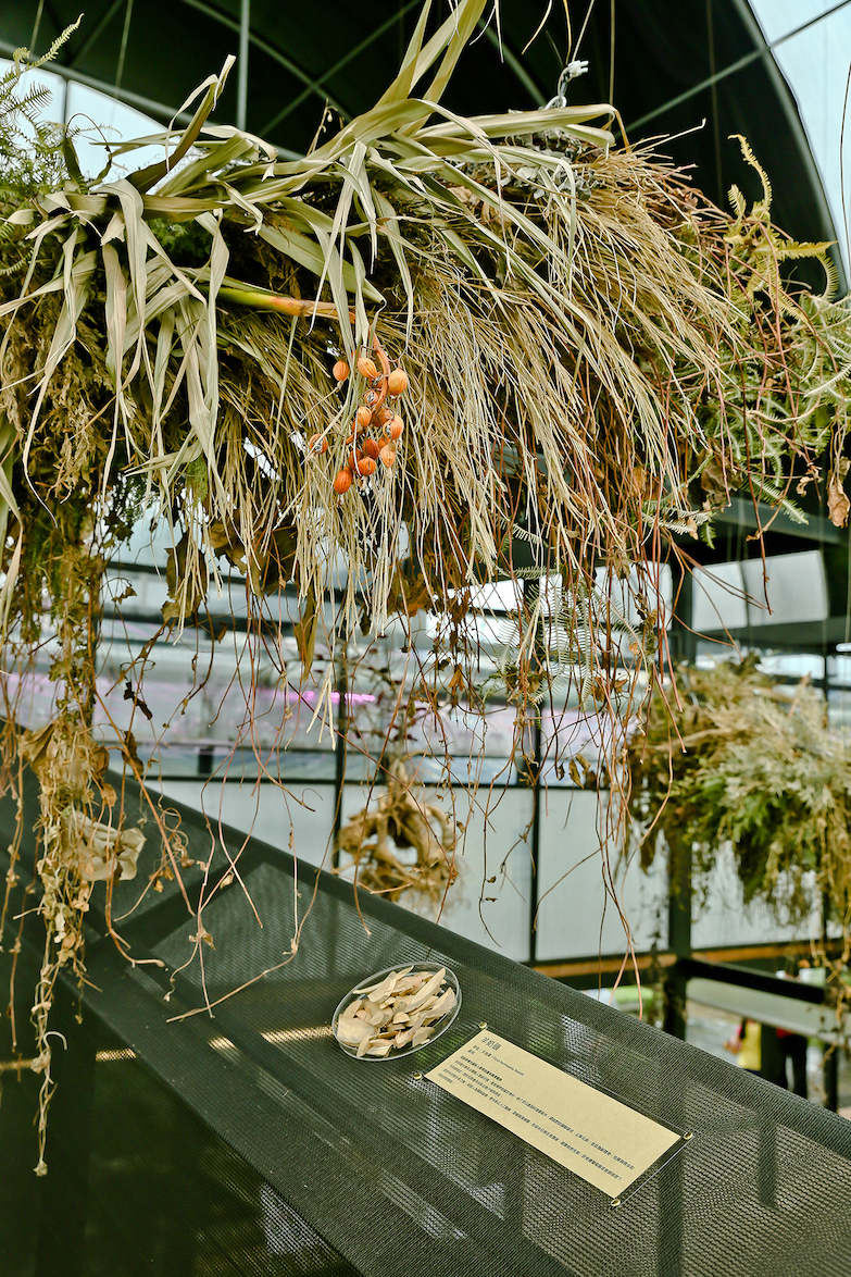 桃園農博「鼓勵好室 2 」衍序設計再出擊！主題「草生肥田」以野草綠意溫柔修復大地