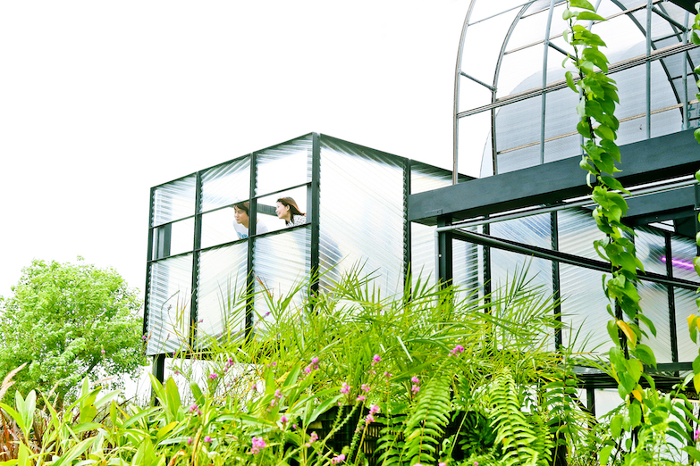 桃園農博「鼓勵好室 2 」衍序設計再出擊！主題「草生肥田」以野草綠意溫柔修復大地