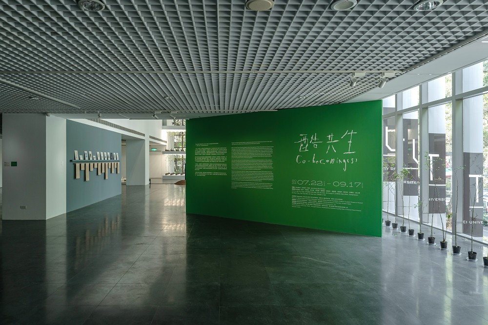 北師美術館《酷共生》展覽亮點！11組跨領域創作探討跨越物種的依存關係