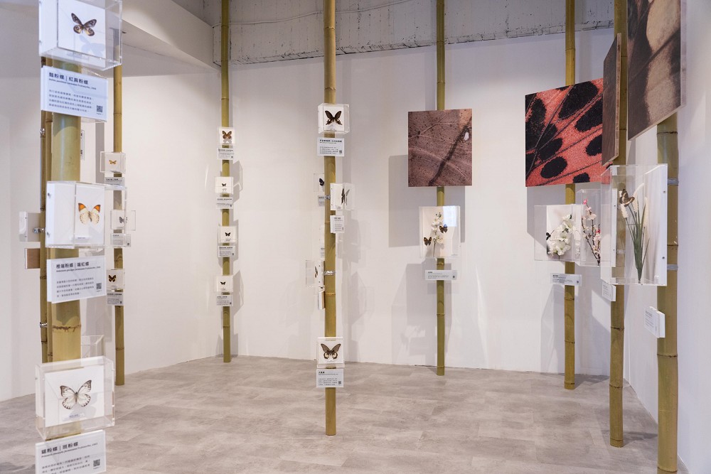 台中「八仙山森林遊客中心」改造！融入竹林、山巒意象翻新視覺與空間設計