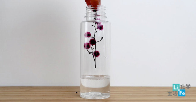 【DIY OK】療癒系擺飾首選 - 浮游花（水中永生花）動手做