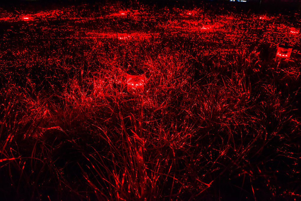 2019 台北白晝之夜主題「雙面芭蕾」登場! 台北大直、西湖站 10/5 不眠一夜藝術表演裝置盡收眼底