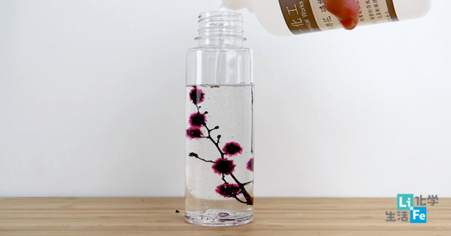 【DIY OK】療癒系擺飾首選 - 浮游花（水中永生花）動手做