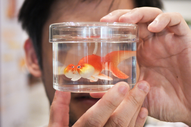 意外得到三千元禮券好開心！大編們的爽逛誠品週年慶遊記