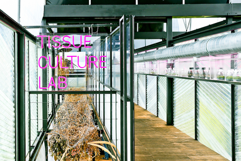 桃園農博「鼓勵好室 2 」衍序設計再出擊！主題「草生肥田」以野草綠意溫柔修復大地