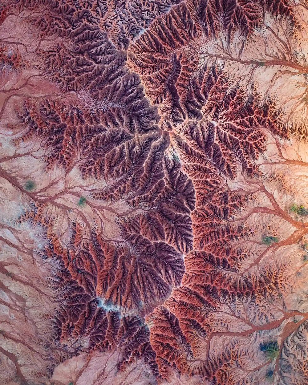 2020 航空攝影獎結果出爐！灰白幾何建築與一抹希臘藍泳池奇幻對比奪最大獎