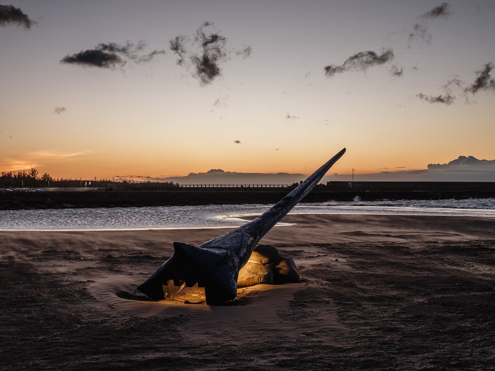 屏東「2023落山風藝術季」作品亮點!療癒阿Q裝置、破風者號等17位藝術家創作