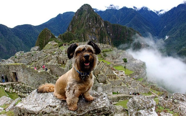 環遊世界不流浪，哪裡有愛就是家