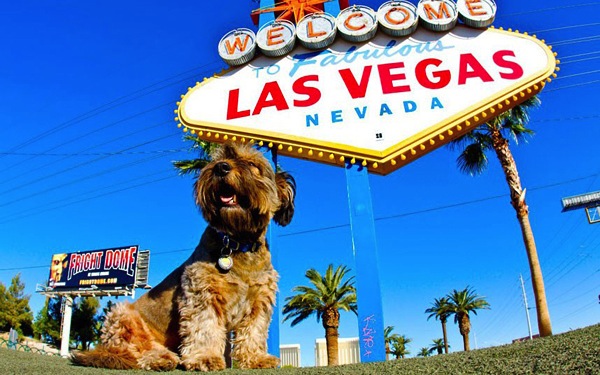 環遊世界不流浪，哪裡有愛就是家