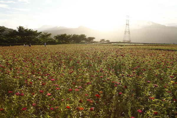【玩體驗】稻田裡的餐桌－南澳熱血海陸饗宴