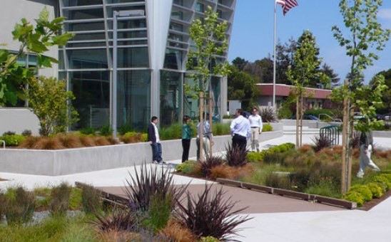 「他山之石，可以攻錯」，看美加市政花園改造