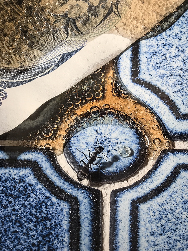 都市中的自然生態攝影 關於大野真人的「動」物寫真