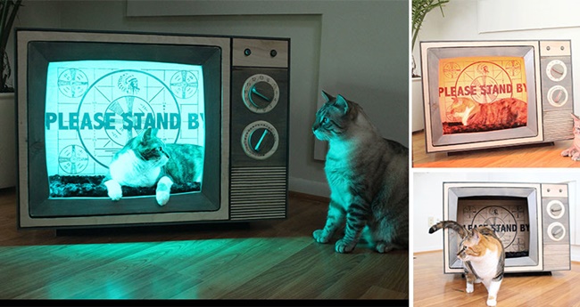 瑪利歐跳台玩完睡貓床,「貓玩具墓園」裡的新奇貓傢俱