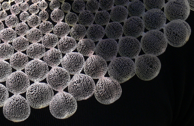 秀出造物的奧妙！融合自然科學的手工首飾