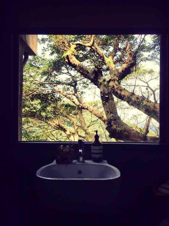 【華山說書人】用心感受,體會生活對美感的影響力-聚焦凌宗湧和陳郁敏的自然派美學觀點